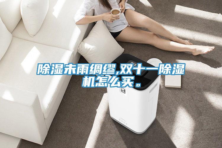 除濕未雨綢繆,雙十一除濕機怎么買。