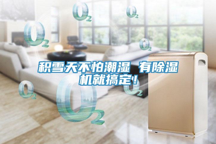 積雪天不怕潮濕 有除濕機(jī)就搞定！