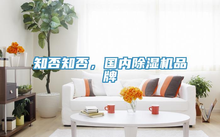 知否知否，國內(nèi)除濕機(jī)品牌