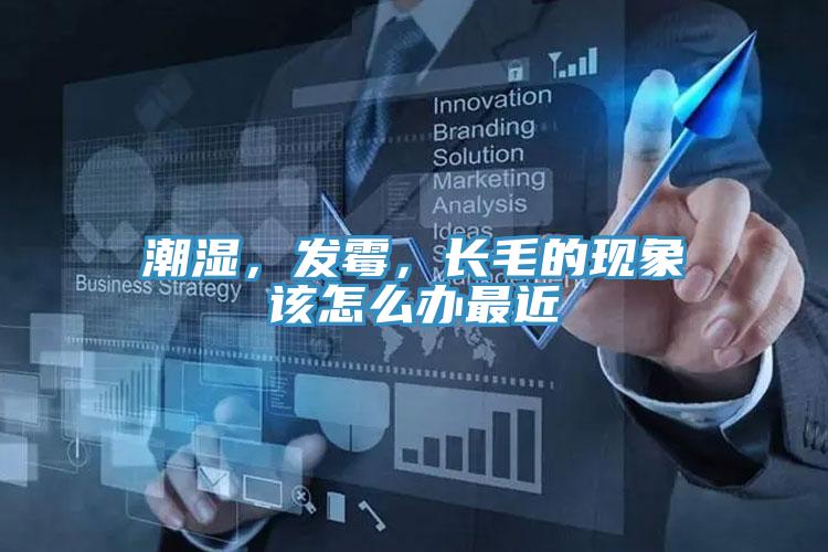 潮濕，發(fā)霉，長毛的現(xiàn)象該怎么辦最近