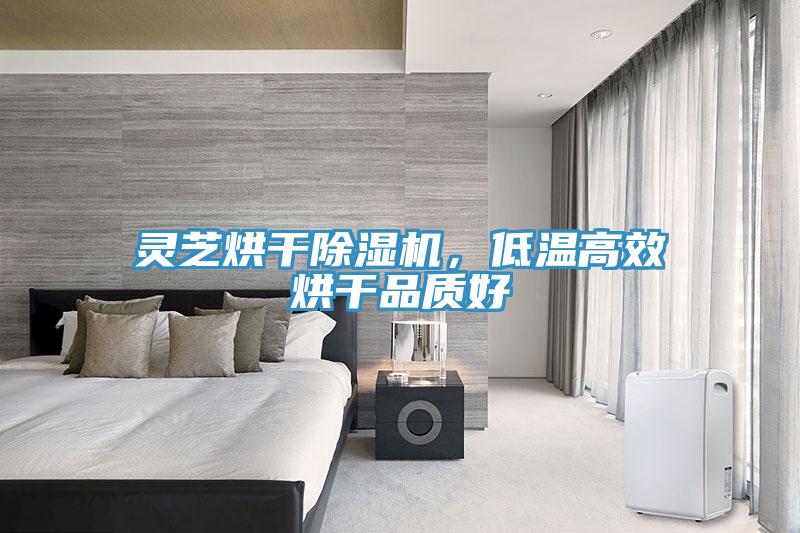 靈芝烘干除濕機(jī)，低溫高效烘干品質(zhì)好