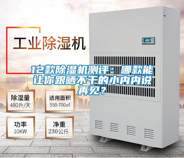 12款除濕機(jī)測(cè)評(píng)：哪款能讓你跟曬不干的小內(nèi)內(nèi)說(shuō)再見(jiàn)？
