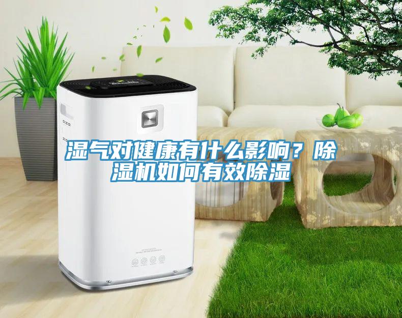 濕氣對健康有什么影響？除濕機如何有效除濕