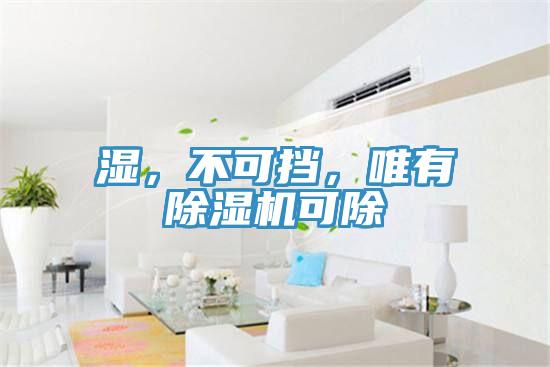 濕，不可擋，唯有除濕機可除