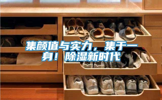 集顏值與實(shí)力，集于一身！除濕新時(shí)代