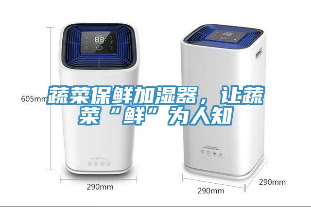 蔬菜保鮮加濕器，讓蔬菜“鮮”為人知