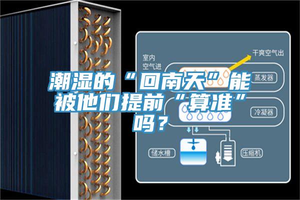 潮濕的“回南天”能被他們提前“算準”嗎？