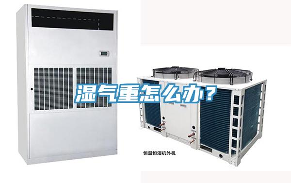 濕氣重怎么辦？
