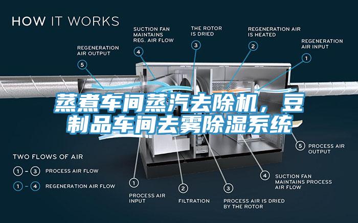 蒸煮車間蒸汽去除機(jī)，豆制品車間去霧除濕系統(tǒng)