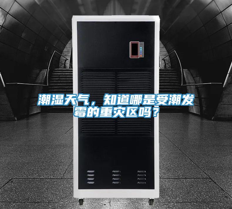 潮濕天氣，知道哪是受潮發(fā)霉的重災(zāi)區(qū)嗎？