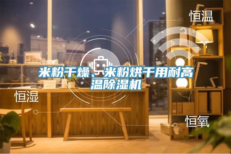 米粉干燥、米粉烘干用耐高溫除濕機
