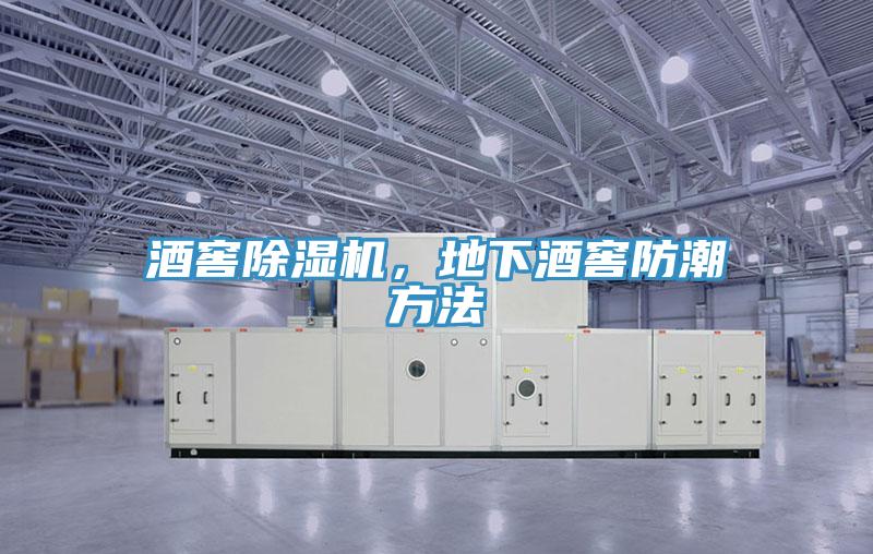 酒窖除濕機(jī)，地下酒窖防潮方法