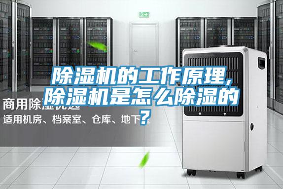 除濕機的工作原理,除濕機是怎么除濕的？
