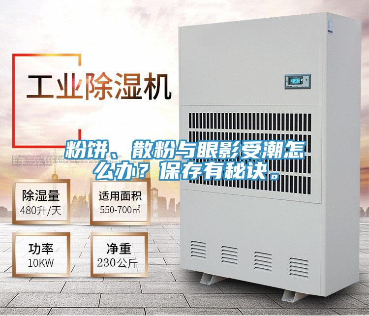 粉餅、散粉與眼影受潮怎么辦？保存有秘訣。