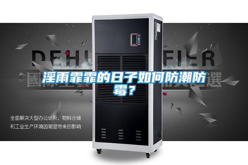 淫雨霏霏的日子如何防潮防霉？
