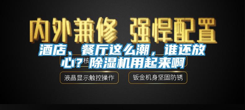 酒店、餐廳這么潮，誰還放心？除濕機(jī)用起來啊