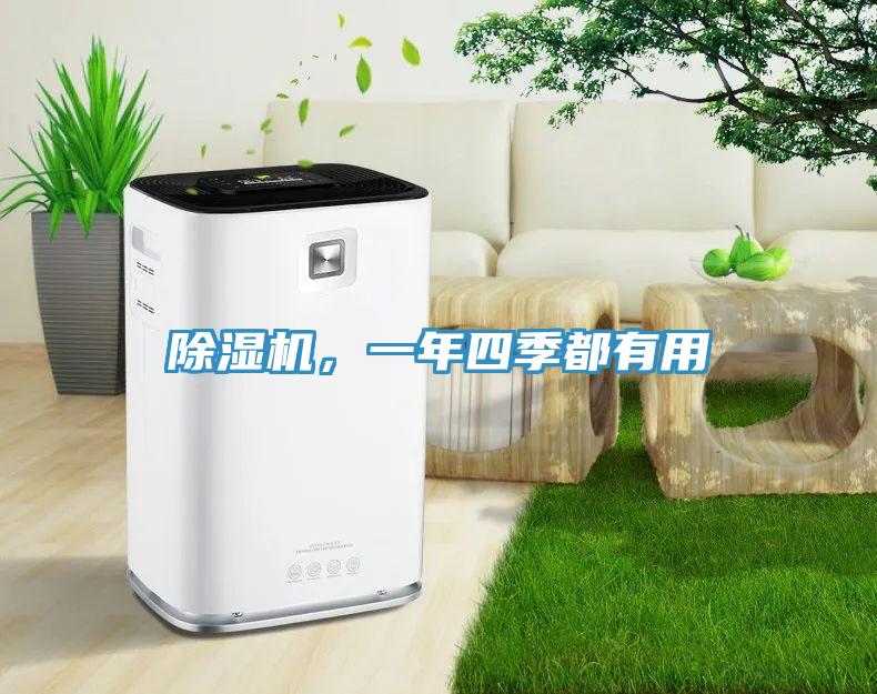 除濕機(jī)，一年四季都有用