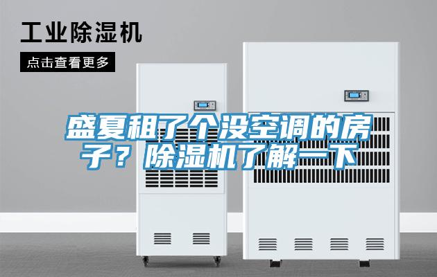 盛夏租了個(gè)沒空調(diào)的房子？除濕機(jī)了解一下