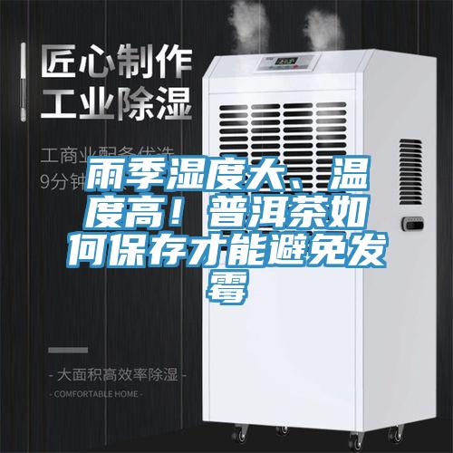 雨季濕度大、溫度高！普洱茶如何保存才能避免發(fā)霉