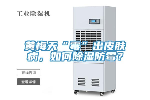 黃梅天“霉”出皮膚病，如何除濕防霉？