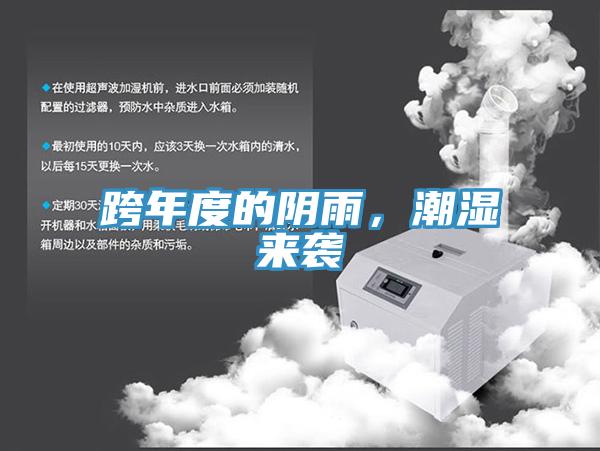 跨年度的陰雨，潮濕來襲
