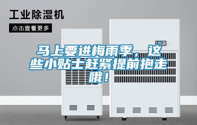 馬上要進(jìn)梅雨季，這些小貼士趕緊提前抱走哦！