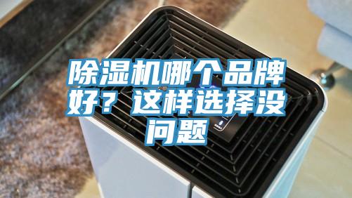 除濕機哪個品牌好？這樣選擇沒問題