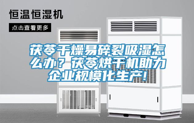 茯苓干燥易碎裂吸濕怎么辦？茯苓烘干機助力企業(yè)規(guī)模化生產(chǎn)!