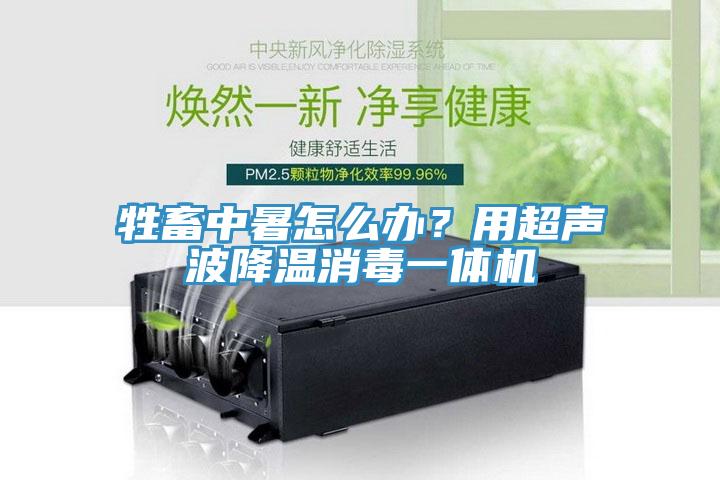 牲畜中暑怎么辦？用超聲波降溫消毒一體機