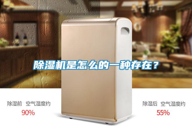 除濕機(jī)是怎么的一種存在？