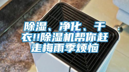 除濕、凈化、干衣!!除濕機(jī)幫你趕走梅雨季煩惱