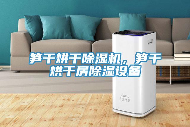 筍干烘干除濕機，筍干烘干房除濕設(shè)備