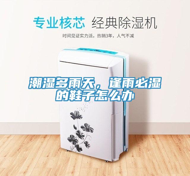 潮濕多雨天，逢雨必濕的鞋子怎么辦