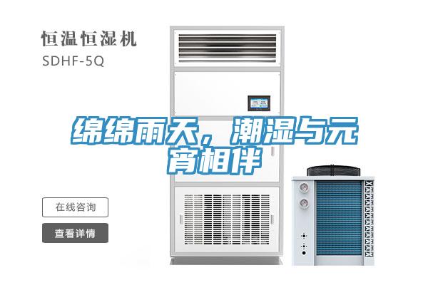 綿綿雨天，潮濕與元宵相伴