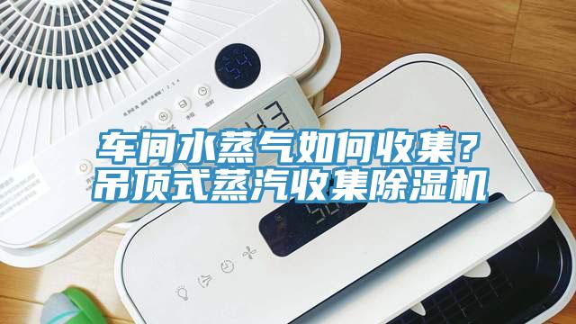 車間水蒸氣如何收集？吊頂式蒸汽收集除濕機(jī)