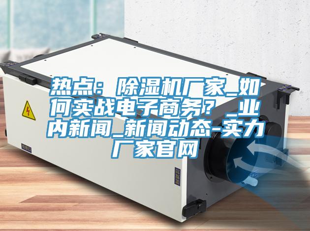 熱點：除濕機廠家_如何實戰(zhàn)電子商務？_業(yè)內(nèi)新聞_新聞動態(tài)-實力廠家官網(wǎng)
