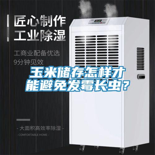 玉米儲存怎樣才能避免發(fā)霉長蟲？