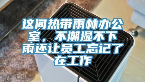 這間熱帶雨林辦公室，不潮濕不下雨還讓員工忘記了在工作
