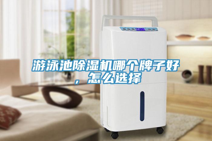 游泳池除濕機哪個牌子好，怎么選擇