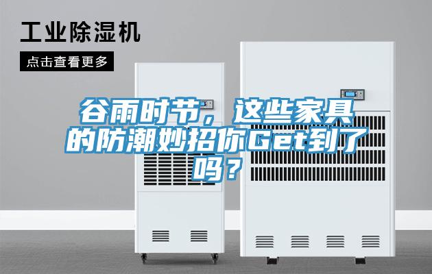 谷雨時(shí)節(jié)，這些家具的防潮妙招你Get到了嗎？