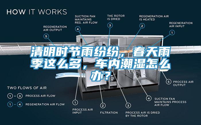 清明時(shí)節(jié)雨紛紛，春天雨季這么多，車內(nèi)潮濕怎么辦？