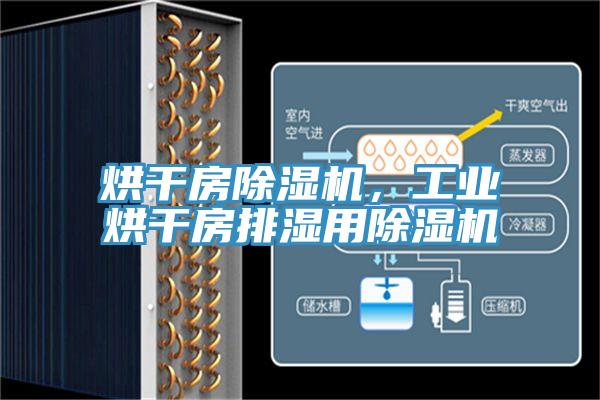 烘干房除濕機(jī)，工業(yè)烘干房排濕用除濕機(jī)