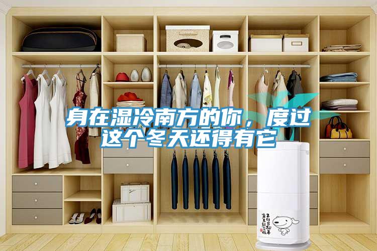 身在濕冷南方的你，度過這個(gè)冬天還得有它