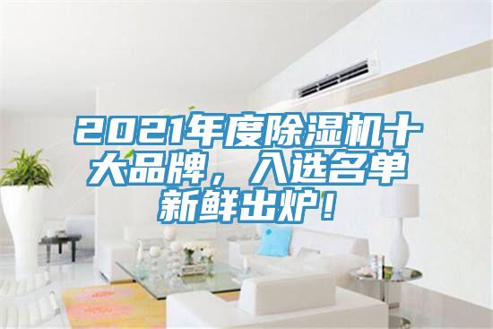 2021年度除濕機(jī)十大品牌，入選名單新鮮出爐！