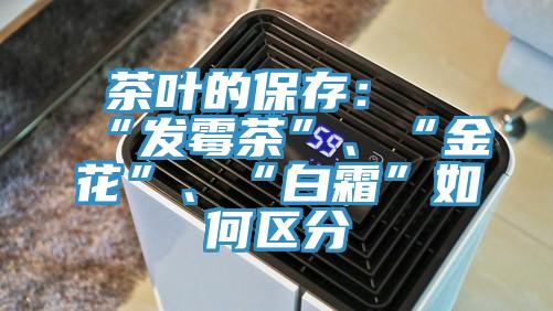 茶葉的保存：“發(fā)霉茶”、“金花”、“白霜”如何區(qū)分