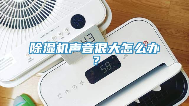 除濕機聲音很大怎么辦？