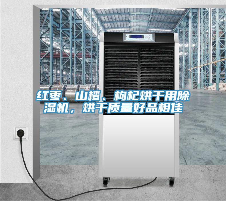 紅棗、山楂、枸杞烘干用除濕機，烘干質(zhì)量好品相佳