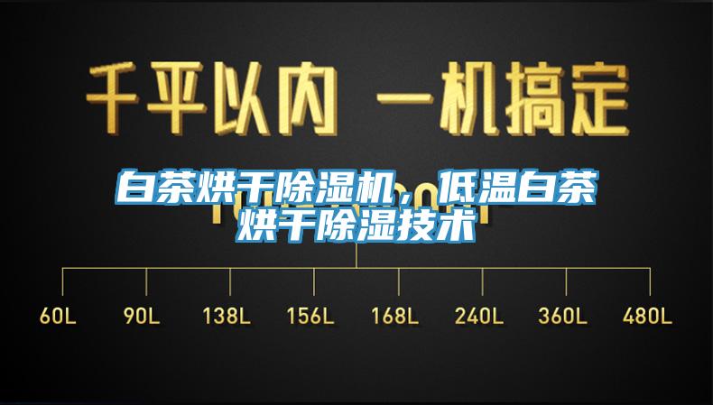 白茶烘干除濕機(jī)，低溫白茶烘干除濕技術(shù)