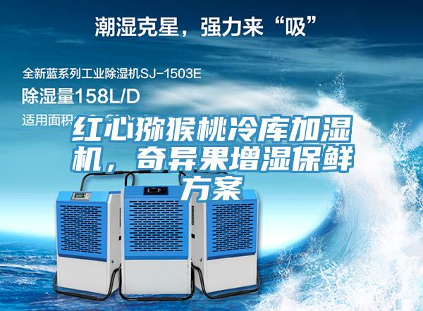紅心獼猴桃冷庫(kù)加濕機(jī)，奇異果增濕保鮮方案