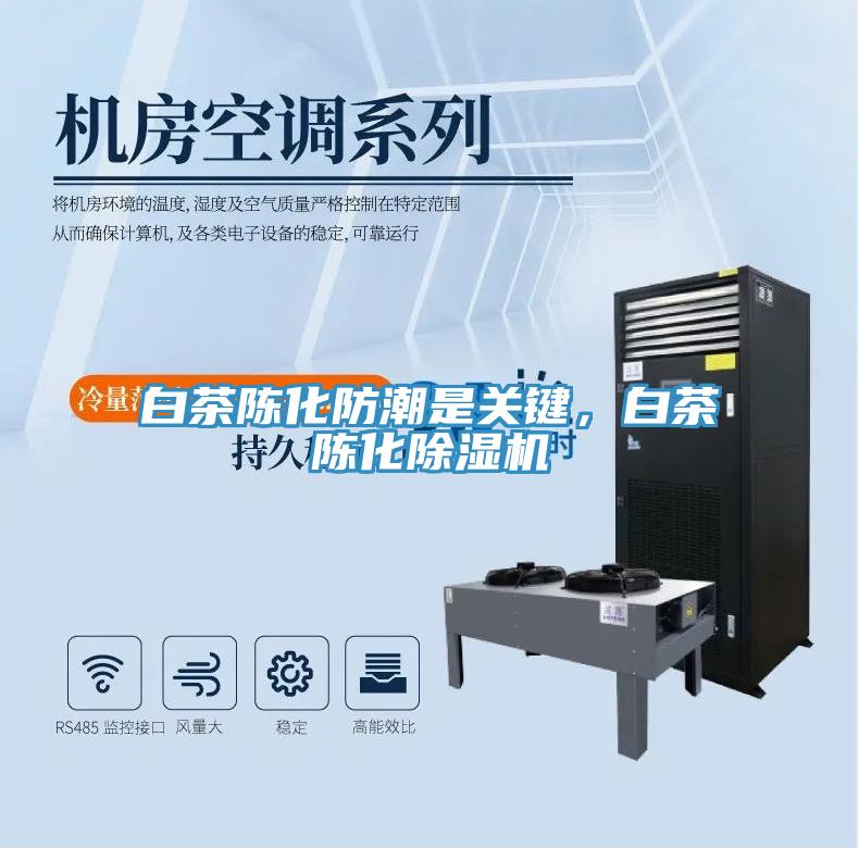 白茶陳化防潮是關(guān)鍵，白茶陳化除濕機(jī)